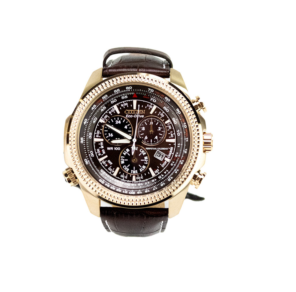 What Is Perpetual Calendar Citizen Watch