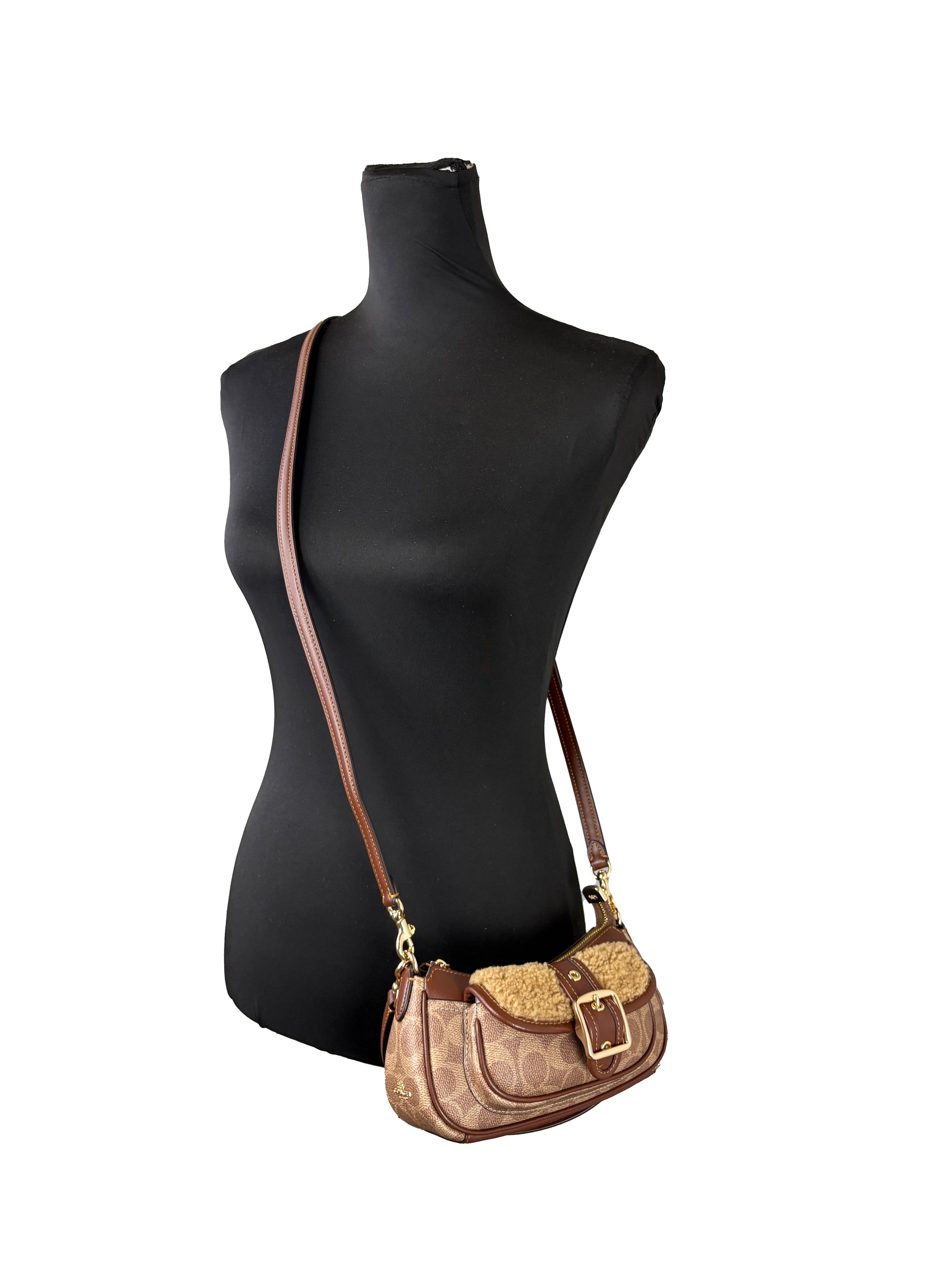 Coach Mini Ashton Shoulder Bag Purse