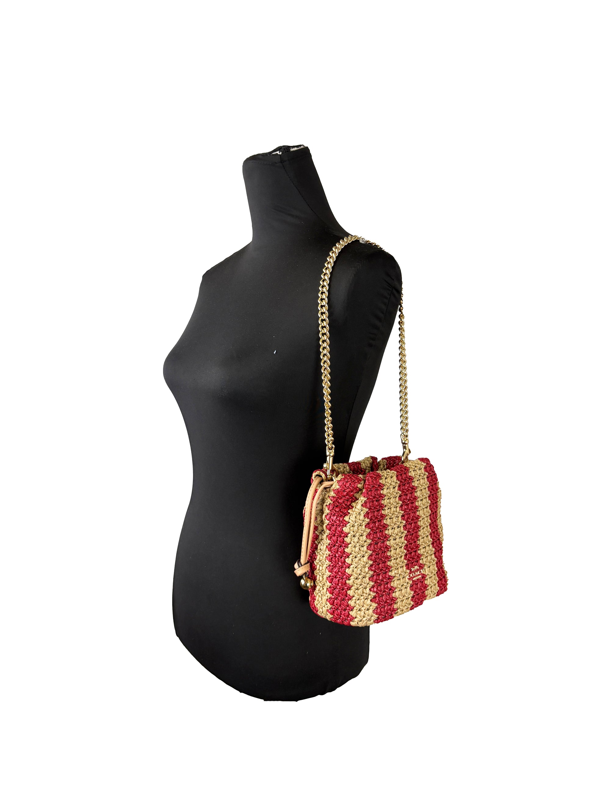 Coach Faye Mini Drawstring Crossbody Bag
