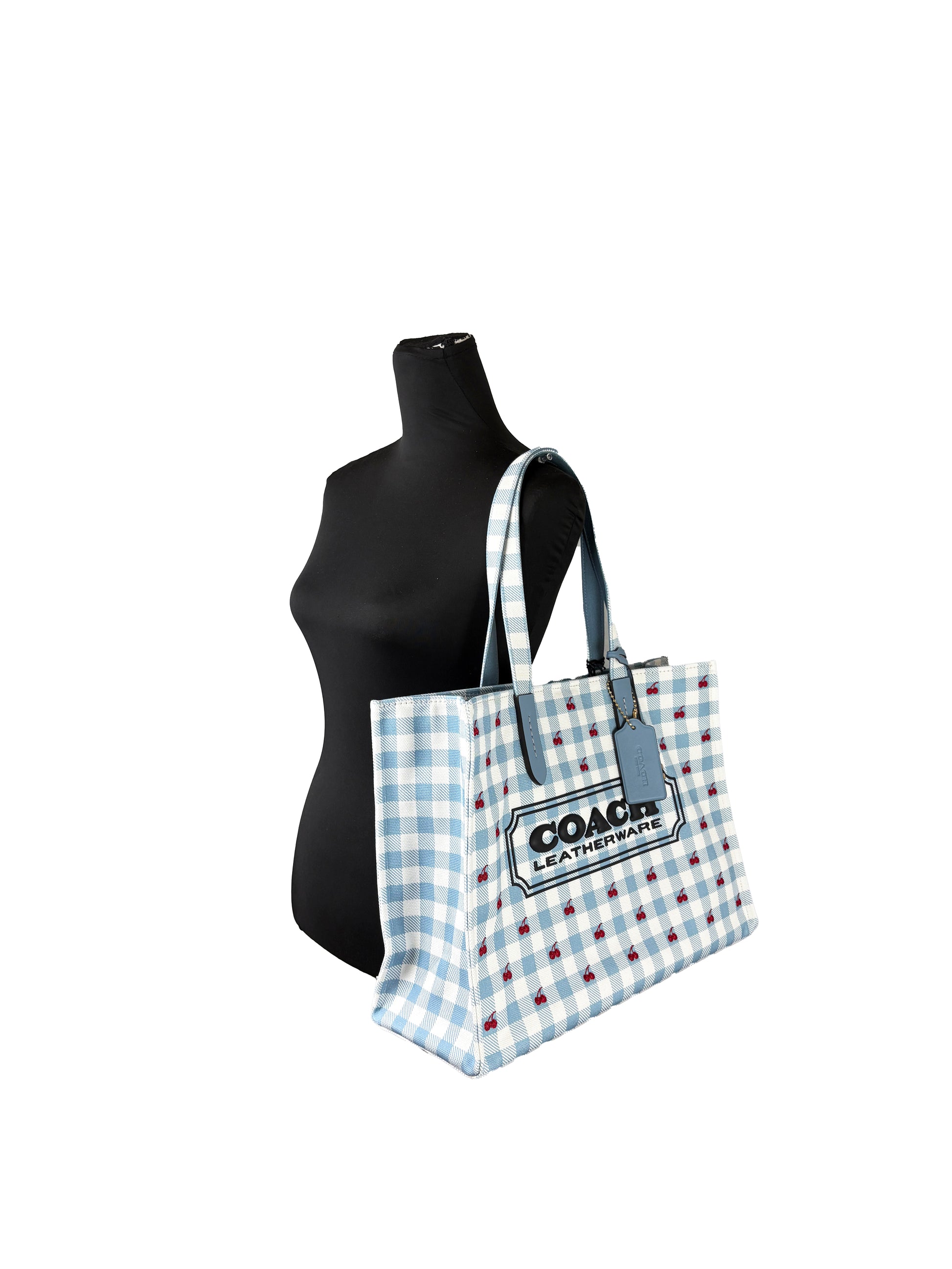 Coach Gingham Print Canvas Tote Bag