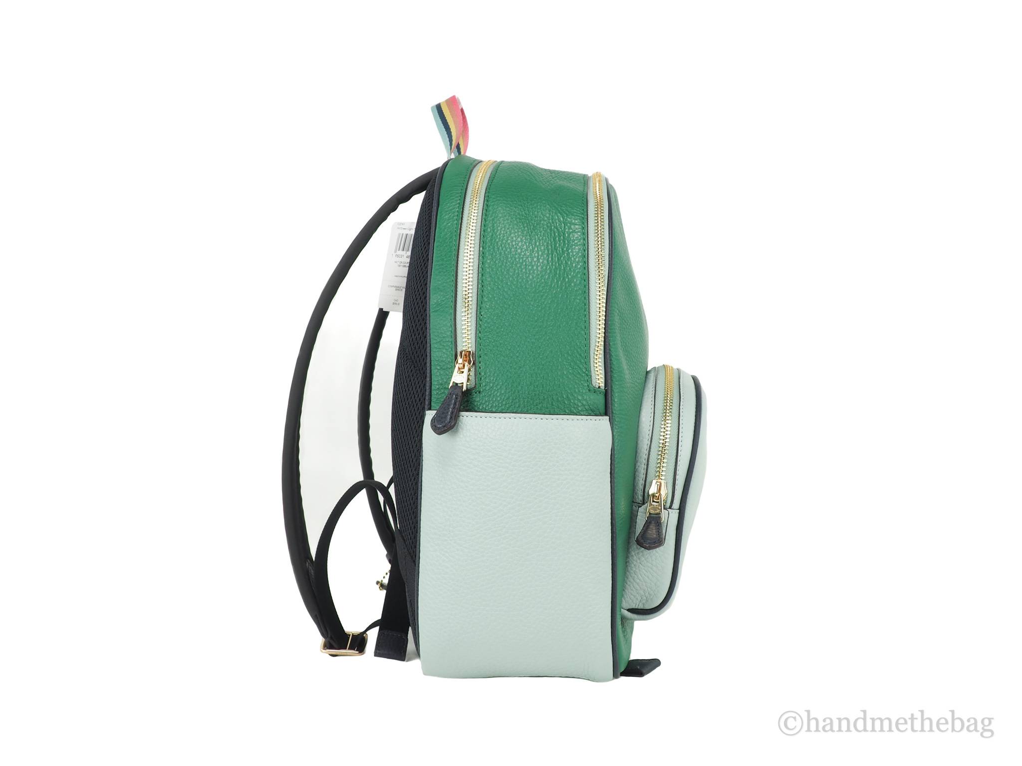 Coach Court green colorblock backpack side on white background