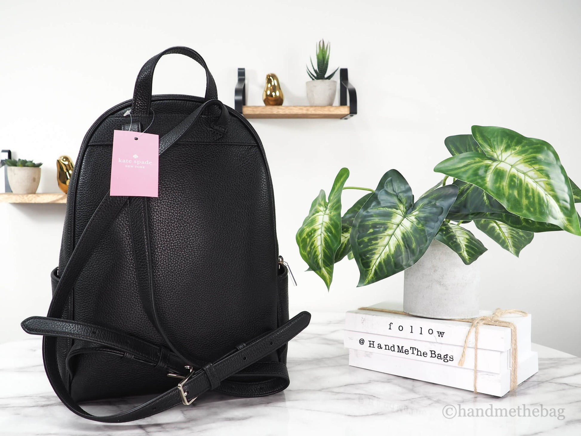 Kate Spade leila black dome backpack back on marble table